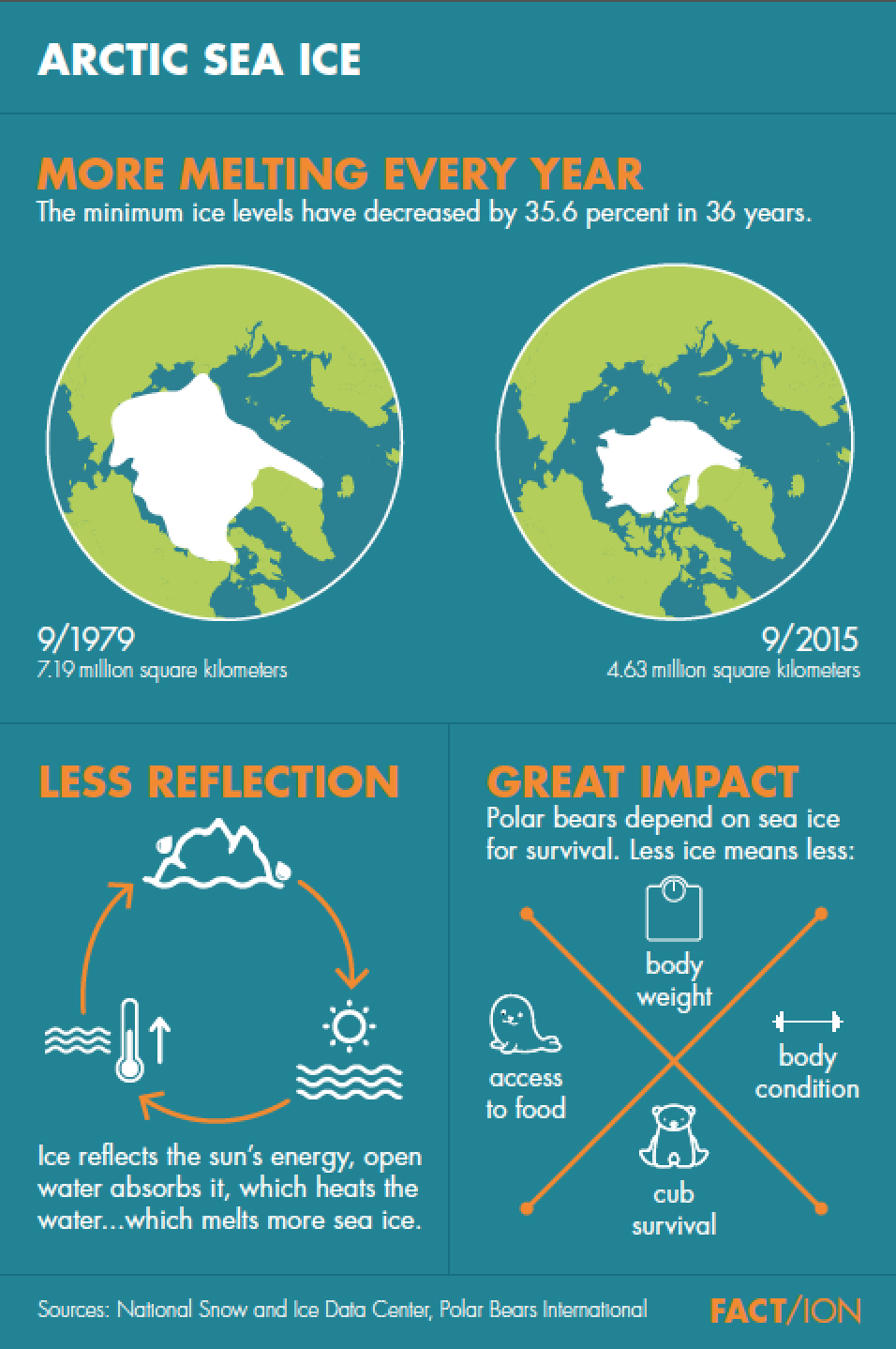Arctic Infographic Poster
