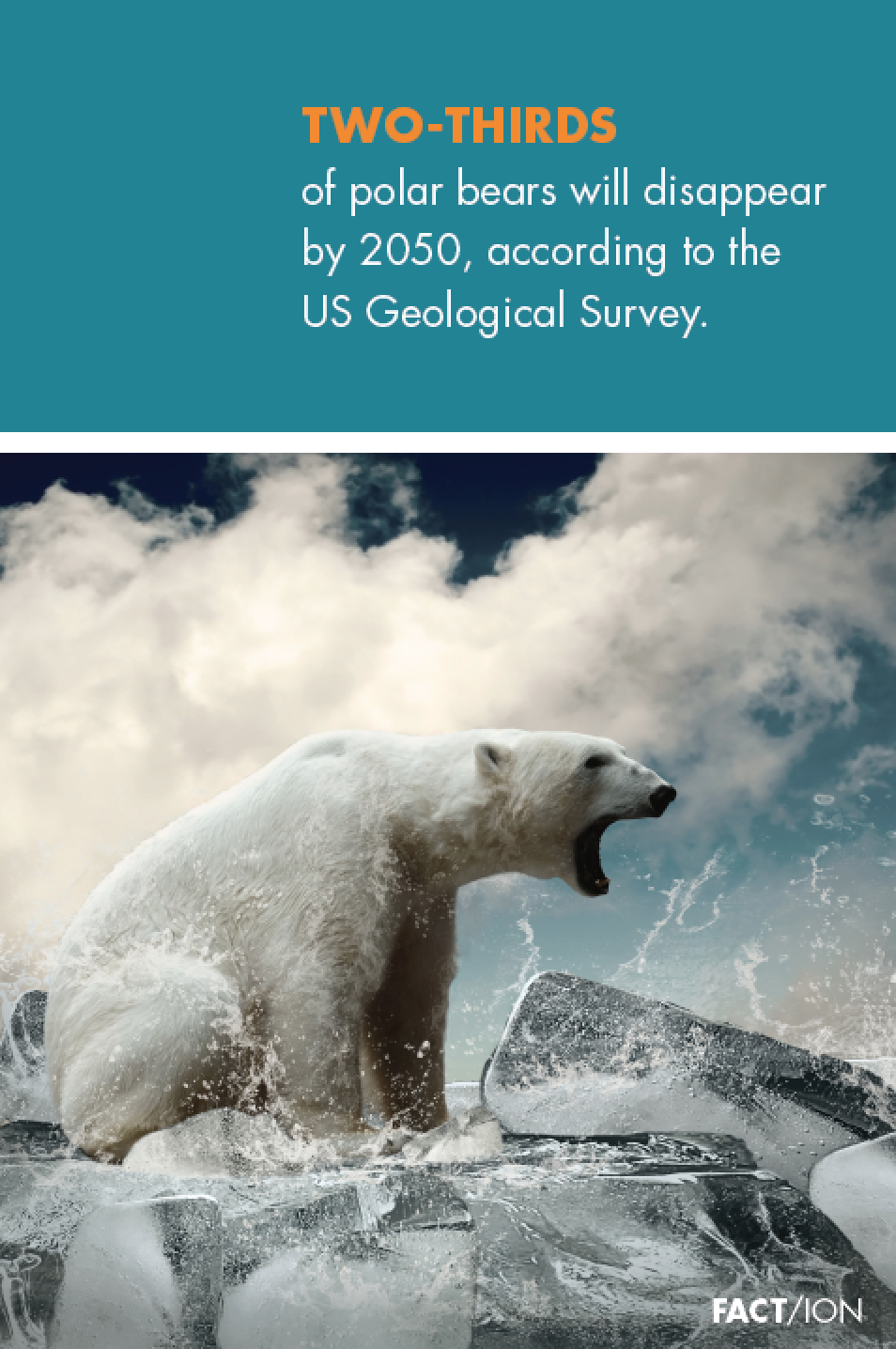 Arctic Statement Poster